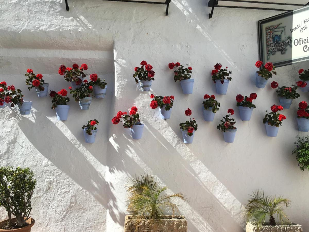 Paris Dream - Torremolinos Apartment Exterior photo